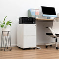 2 Drawer Rolling Locking Office File Cabinet with Lock, Anti-tilt Wheels