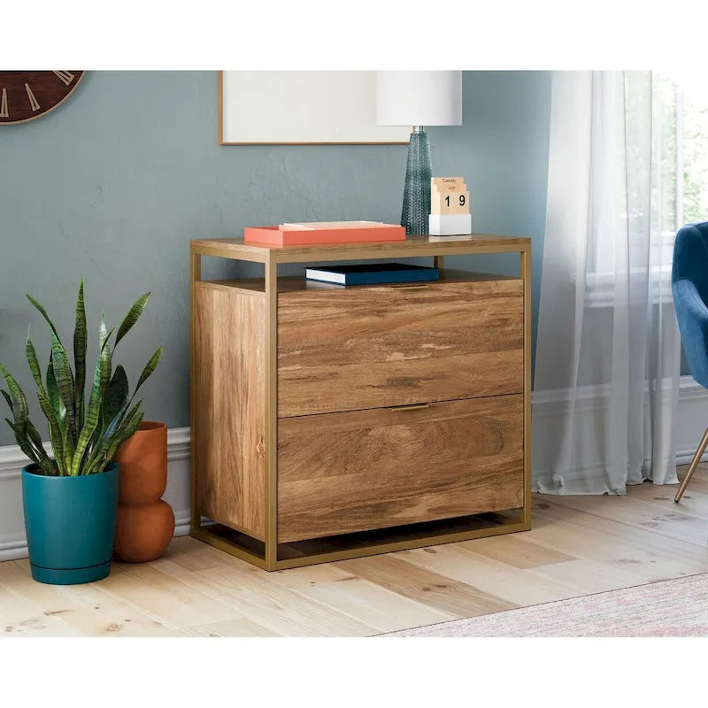 2-Drawer Lateral File Cabinet with Open Shelf, Satin Gold Frame & Mango Finish