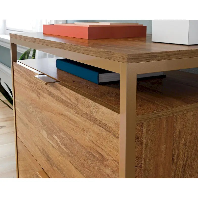2-Drawer Lateral File Cabinet with Open Shelf, Satin Gold Frame & Mango Finish